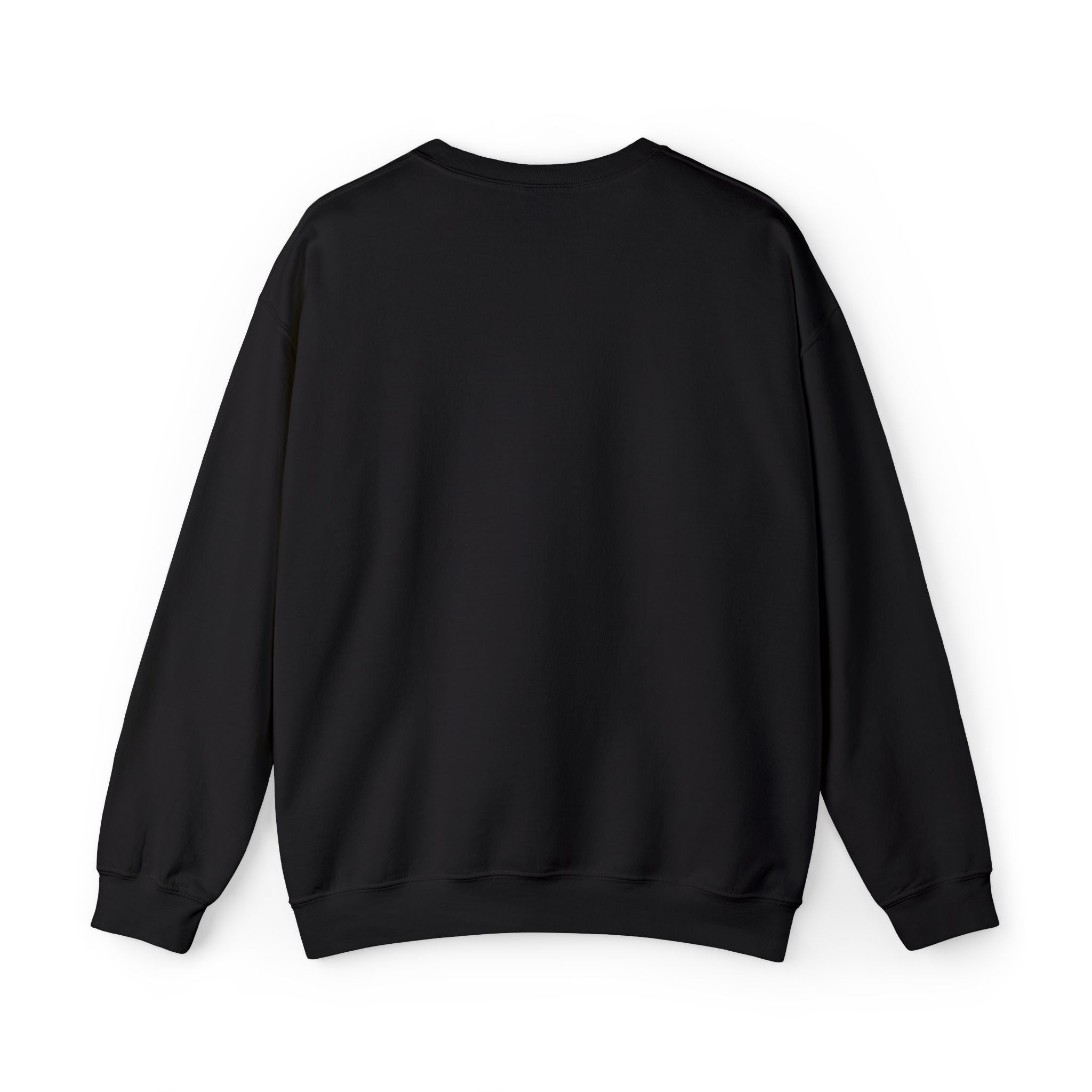 Paris, France | Memorial Embroidered Sweatshirt